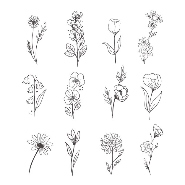 Hand drawn flower collection