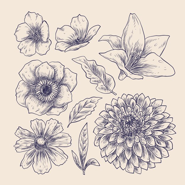 Hand drawn flower collection