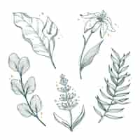 Free vector hand drawn flower collection