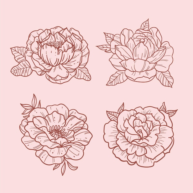 Free vector hand drawn flower collection