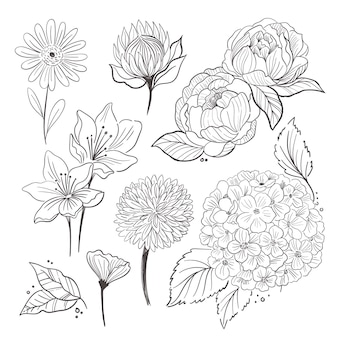 Hand drawn flower collection