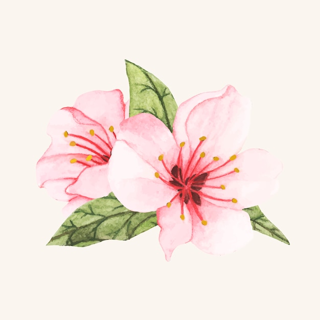 Free vector hand drawn flower isolated