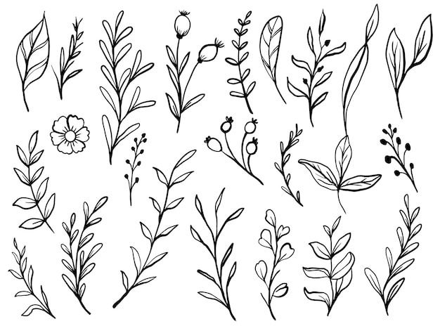 手描きの花と葉のコレクションセット要素