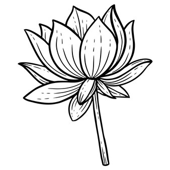 手描きの花蓮の葉自然分離ステッカー黒植物線画イラスト