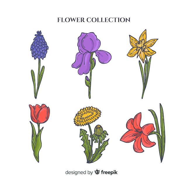 Free vector hand drawn flower pack