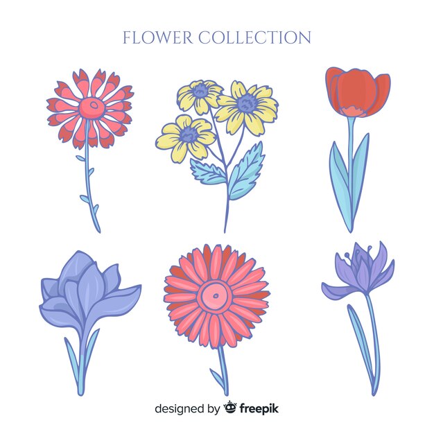 Hand drawn flower pack