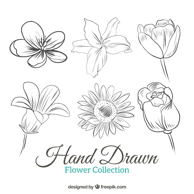 手描きの花の選択