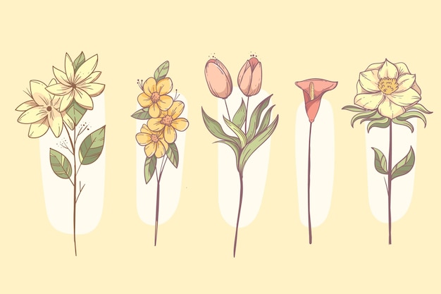 Free vector hand drawn flower set