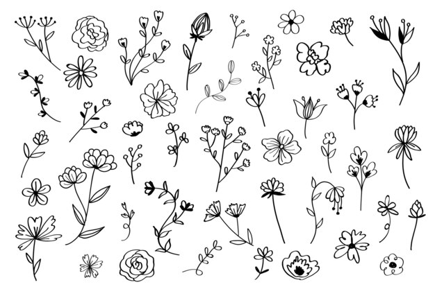 Download Flower Line Art Images Free Vectors Stock Photos Psd