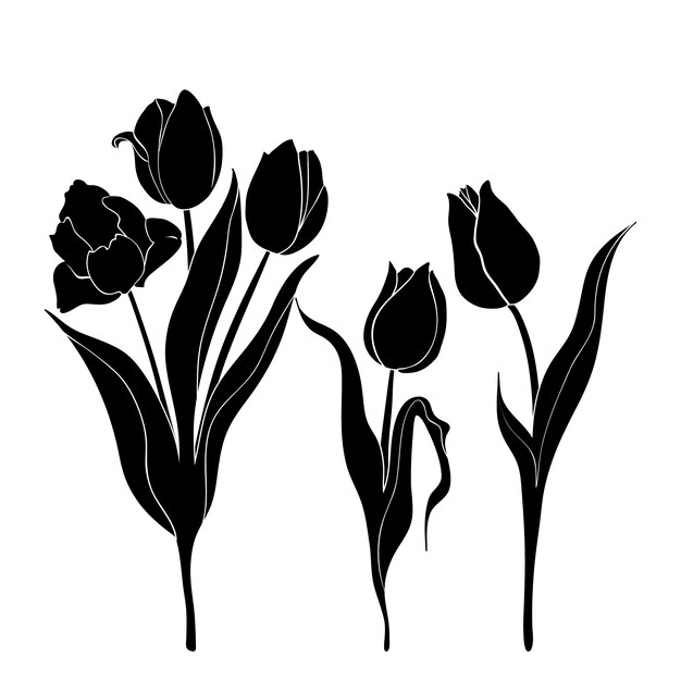 Hand drawn flower silhouettes illustration