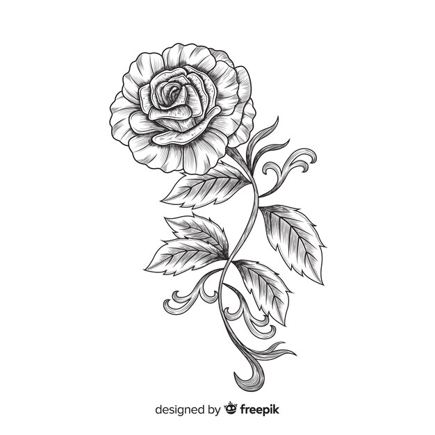 Hand drawn flower with elegant style