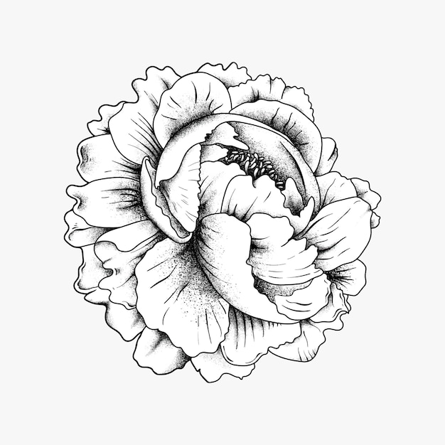 Рисованный цветок