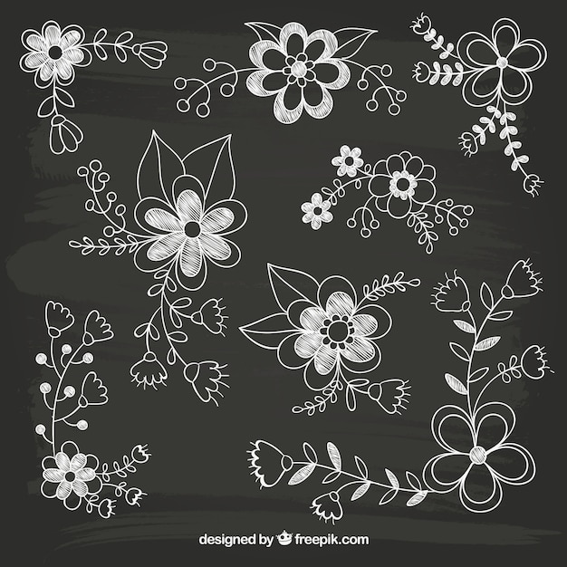 https://img.freepik.com/free-vector/hand-drawn-flowers-blackboard_23-2147507467.jpg?size=338&ext=jpg&ga=GA1.1.1546980028.1704240000&semt=ais