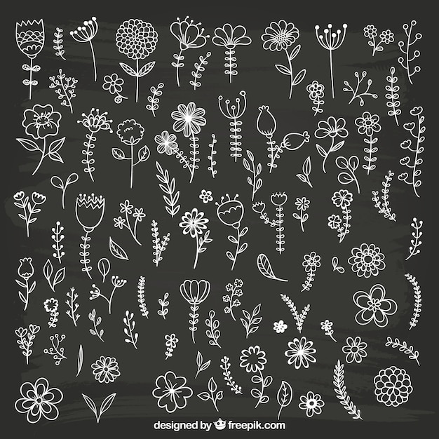 Hand drawn flowers on blackboard