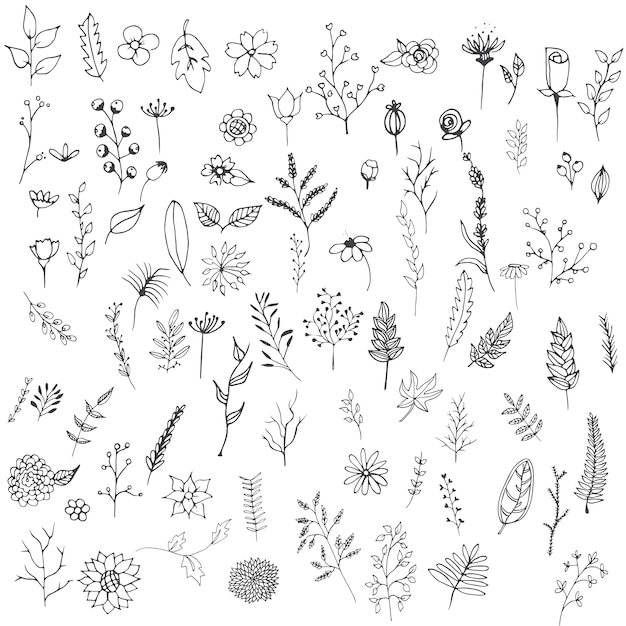 Hand drawn flowers collection