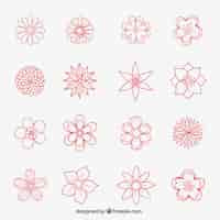 Free vector hand drawn flowers collection