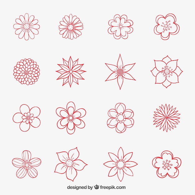 Free Vector hand drawn flowers collection