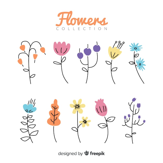 Raccolta di fiori disegnati a mano