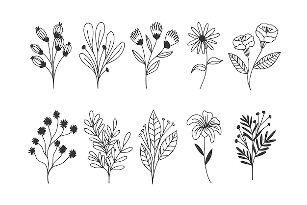 Hand drawn flowers collection
