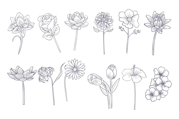 Hand drawn flowers collection