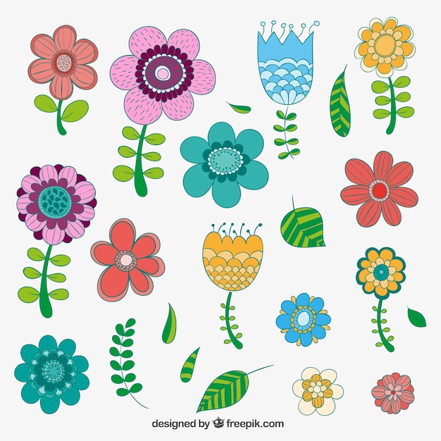 Hand drawn flowers in colorful style