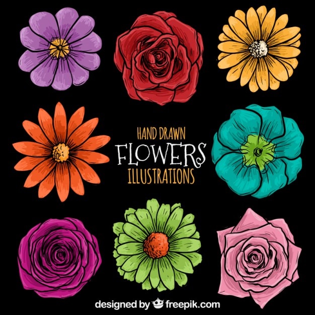 Hand drawn flowers illustration