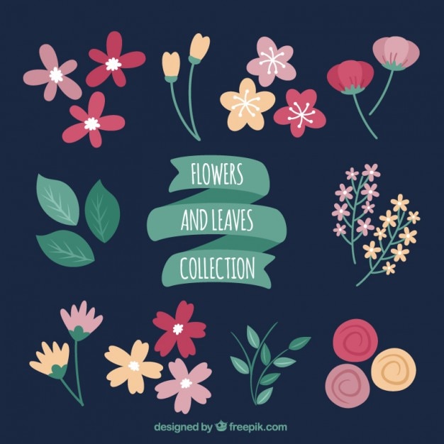 Free vector hand drawn flowers and leaves collection