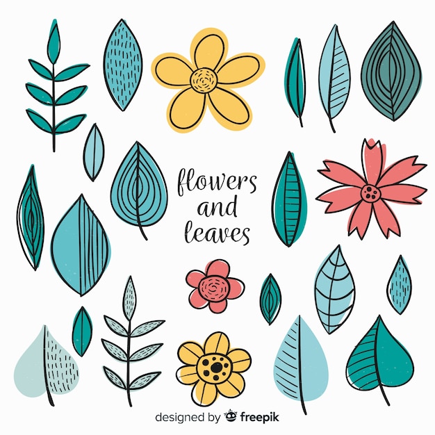 손으로 그린 꽃과 나뭇잎 컬렉션