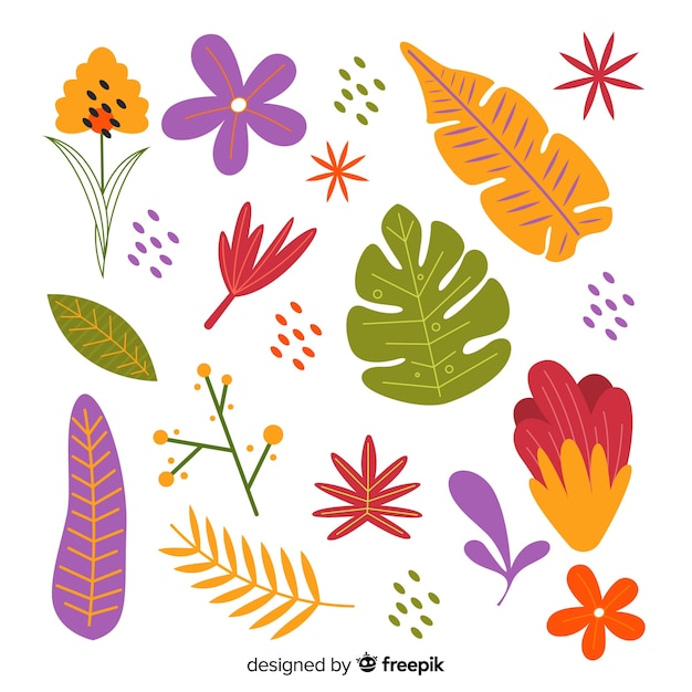 Free vector hand drawn flowers and leaves collection