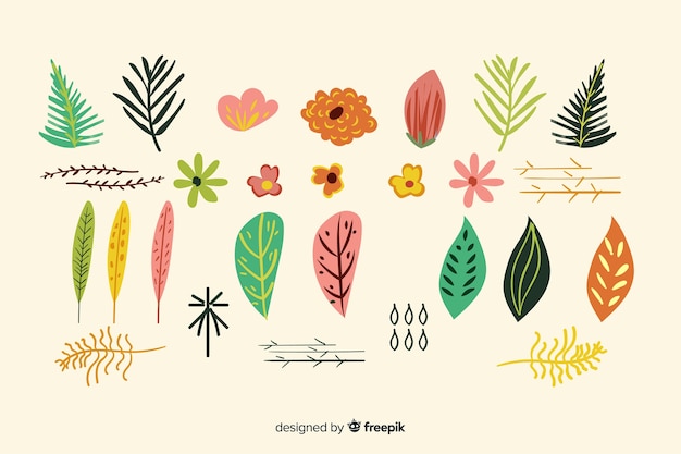 Raccolta di fiori e foglie disegnati a mano