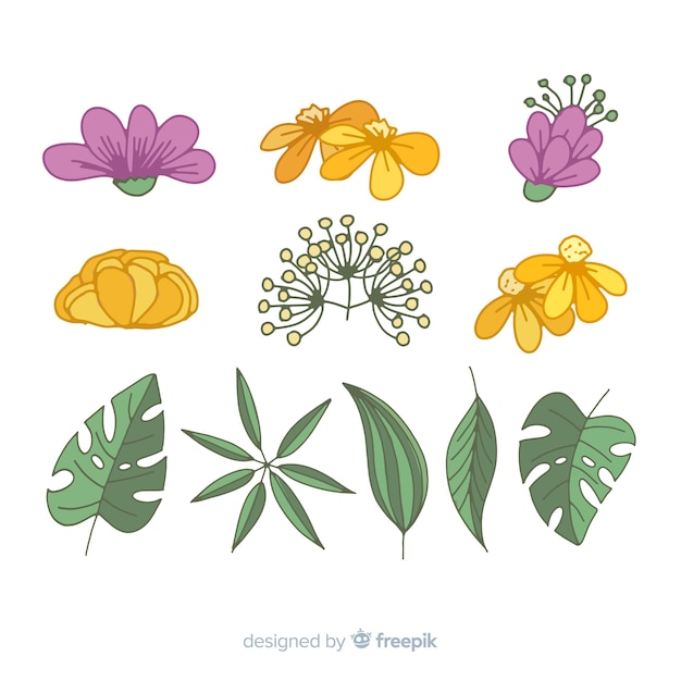 Hand drawn flowers and leaves