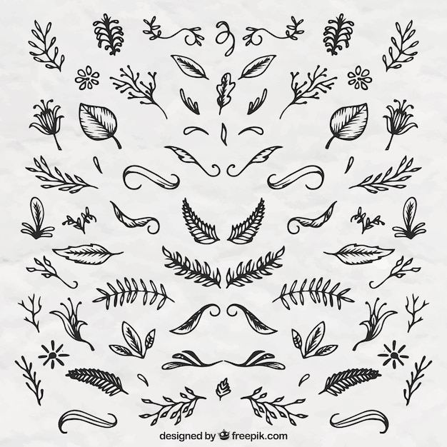 Free vector hand drawn flowers ornaments set