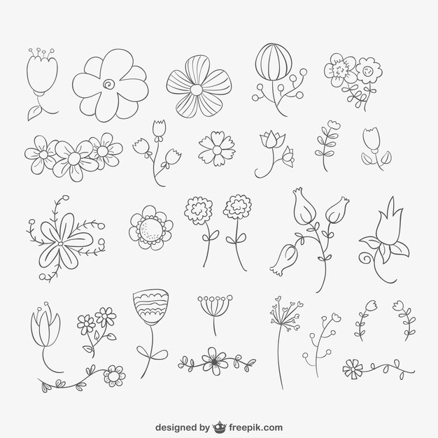 Hand drawn flowers pack