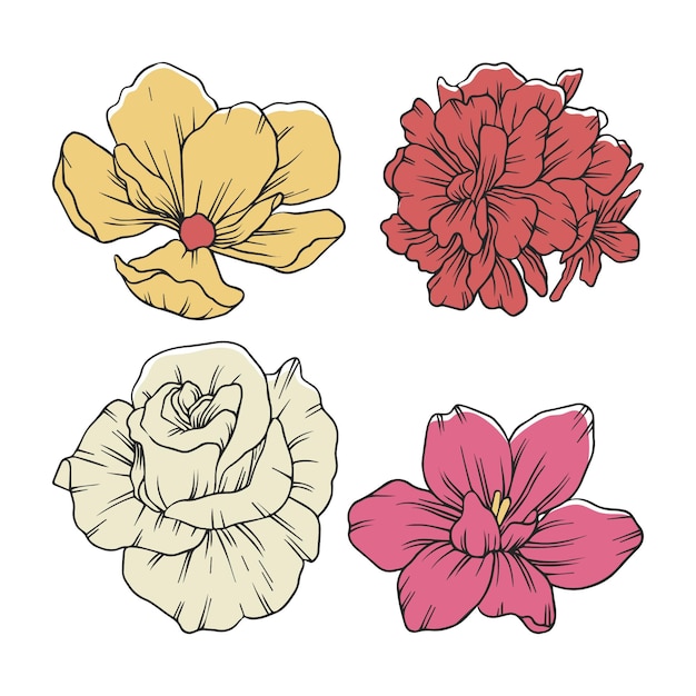 Hand drawn flowers pack