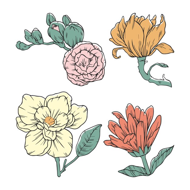 Hand drawn flowers pack