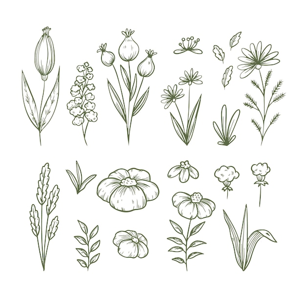 Free vector hand drawn flowers pack