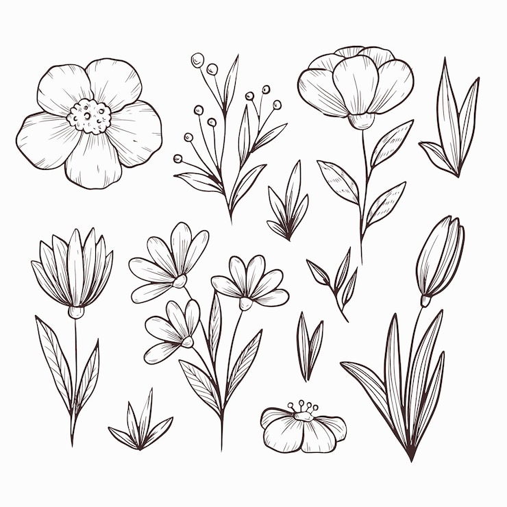 Free Vector hand drawn flowers pack