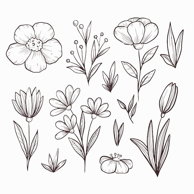 Hand drawn flowers pack