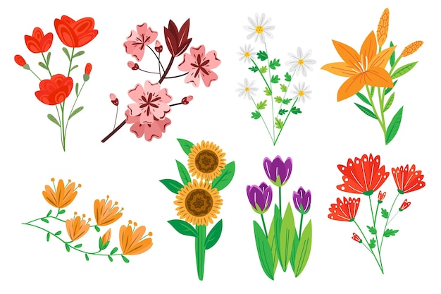 Vettore gratuito confezione di fiori disegnati a mano