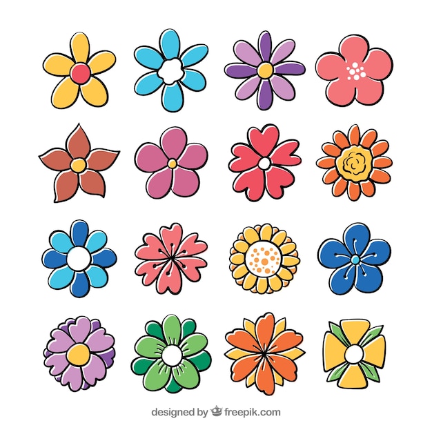 Free Vector hand drawn flowers set 