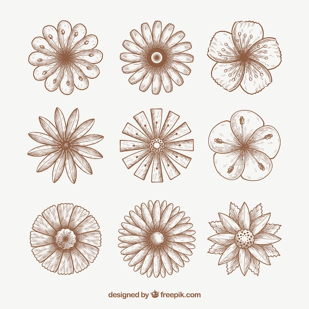 Free vector hand drawn flowers set