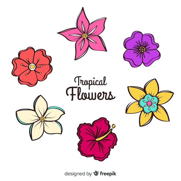 Hand drawn flowers set 