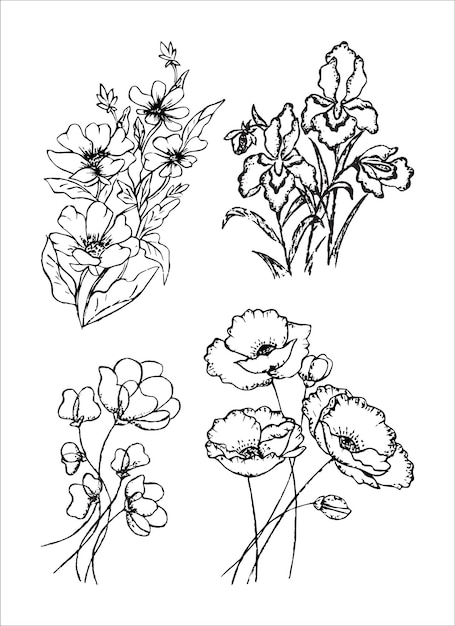 Hand drawn flowers set