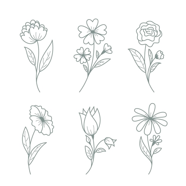 Hand drawn flowers with leaves collection