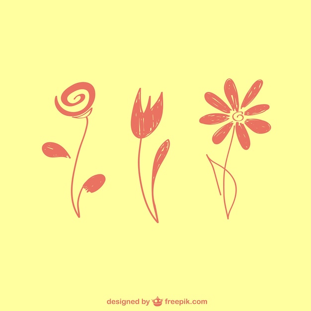 Free Vector hand drawn flowers 