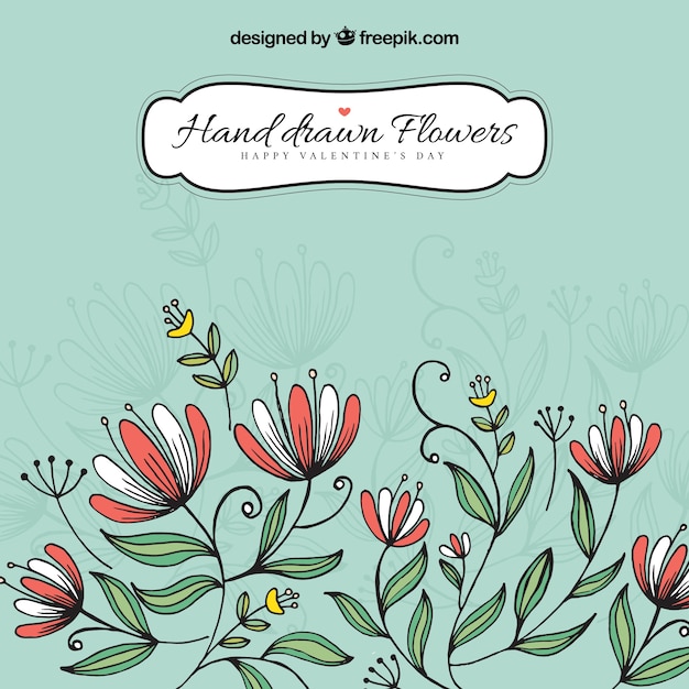 Free vector hand drawn flowers