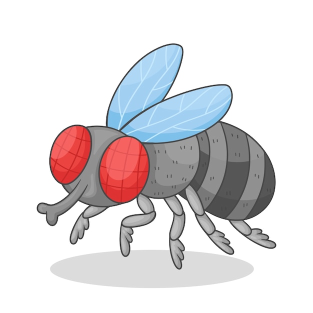 Hand drawn fly cartoon illustration