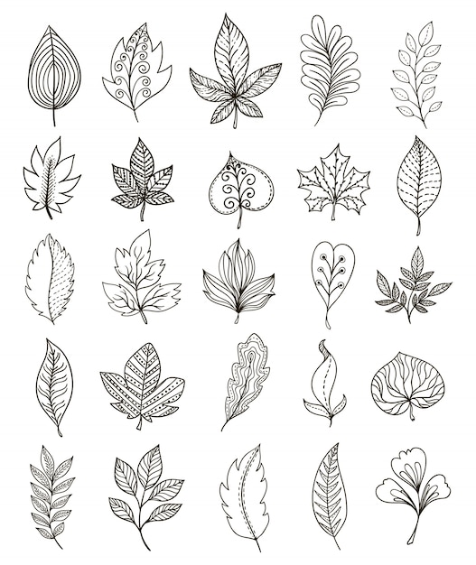 Free vector hand drawn foliage monochrome set