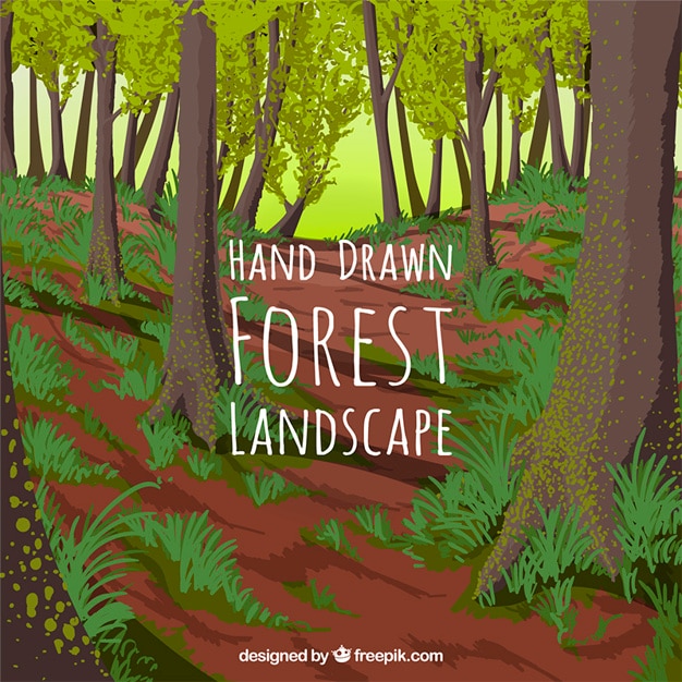 Free vector hand drawn forest background