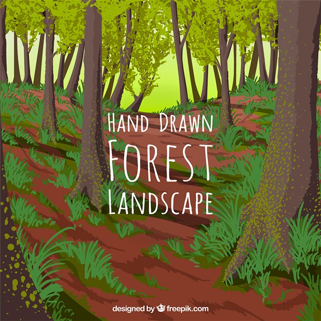 Free Vector hand drawn forest background